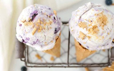 Easy Berry and Biscuit Ice Cream!